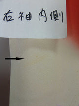 古典美 振袖3点セット＊赤地 鶴舞う吉祥文様 正絹＋袋帯＋洗える長襦袢　Full set / Easy care / Beginner friendly