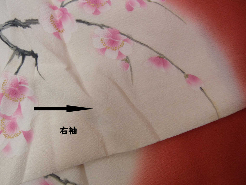 ほぼ美品　振袖　鳳凰に吉祥花文様　友禅　正絹　金彩　臙脂色系