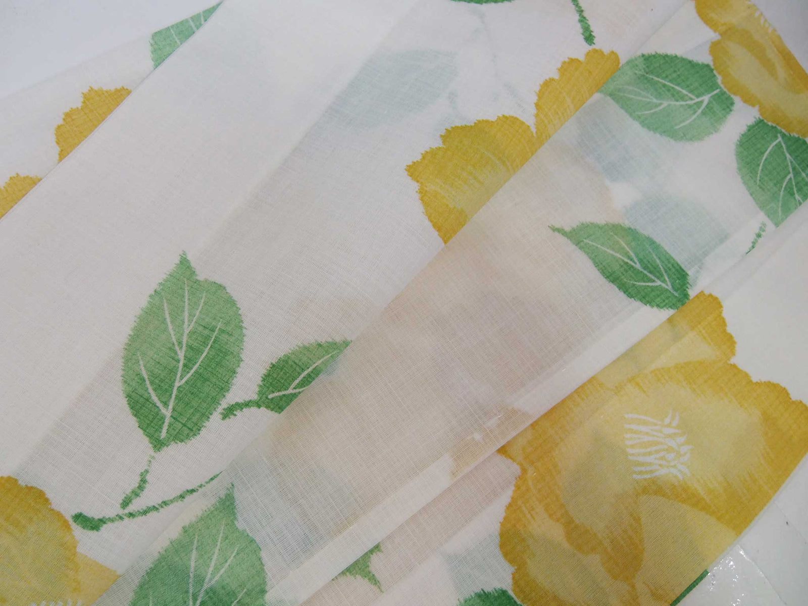 美品 洗える夏着物 綿着物 小紋 紗 椿文様 極薄いクリーム色 単