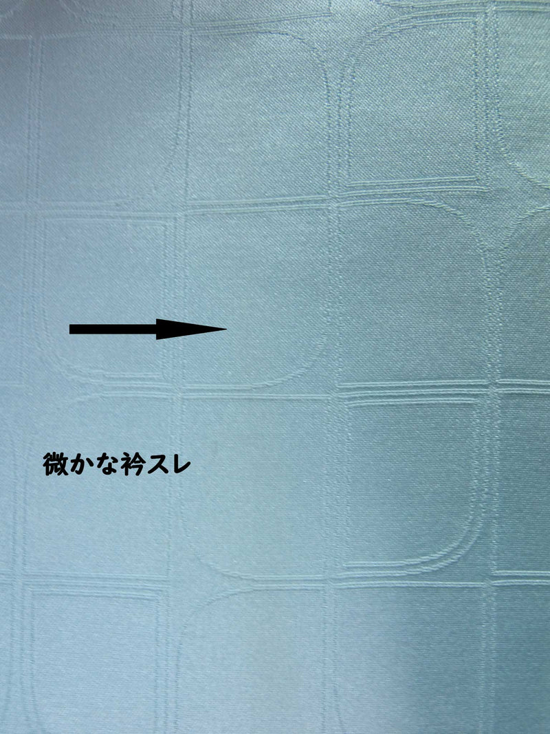 豪華　振袖とおまけ長襦袢(下着　半衿なし) 幻の鳥鳳凰文様　落款入　金銀彩　正絹