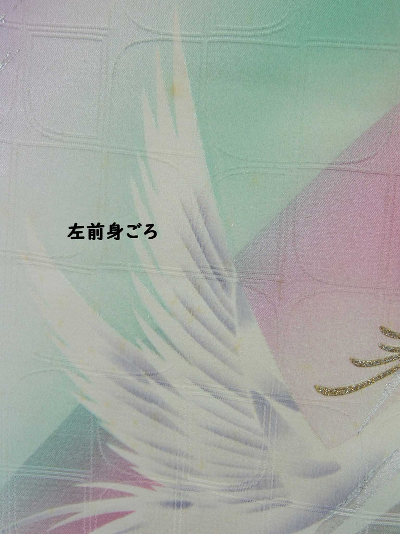 豪華　振袖とおまけ長襦袢(下着　半衿なし) 幻の鳥鳳凰文様　落款入　金銀彩　正絹