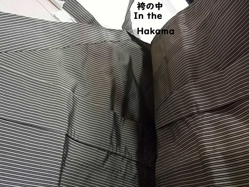 Hakama Pants for Men's Kimono Made in Japan, Stripe, Pure Silk, Beautiful, Grayish, M size, Bajirai Hakama (Pants Type)