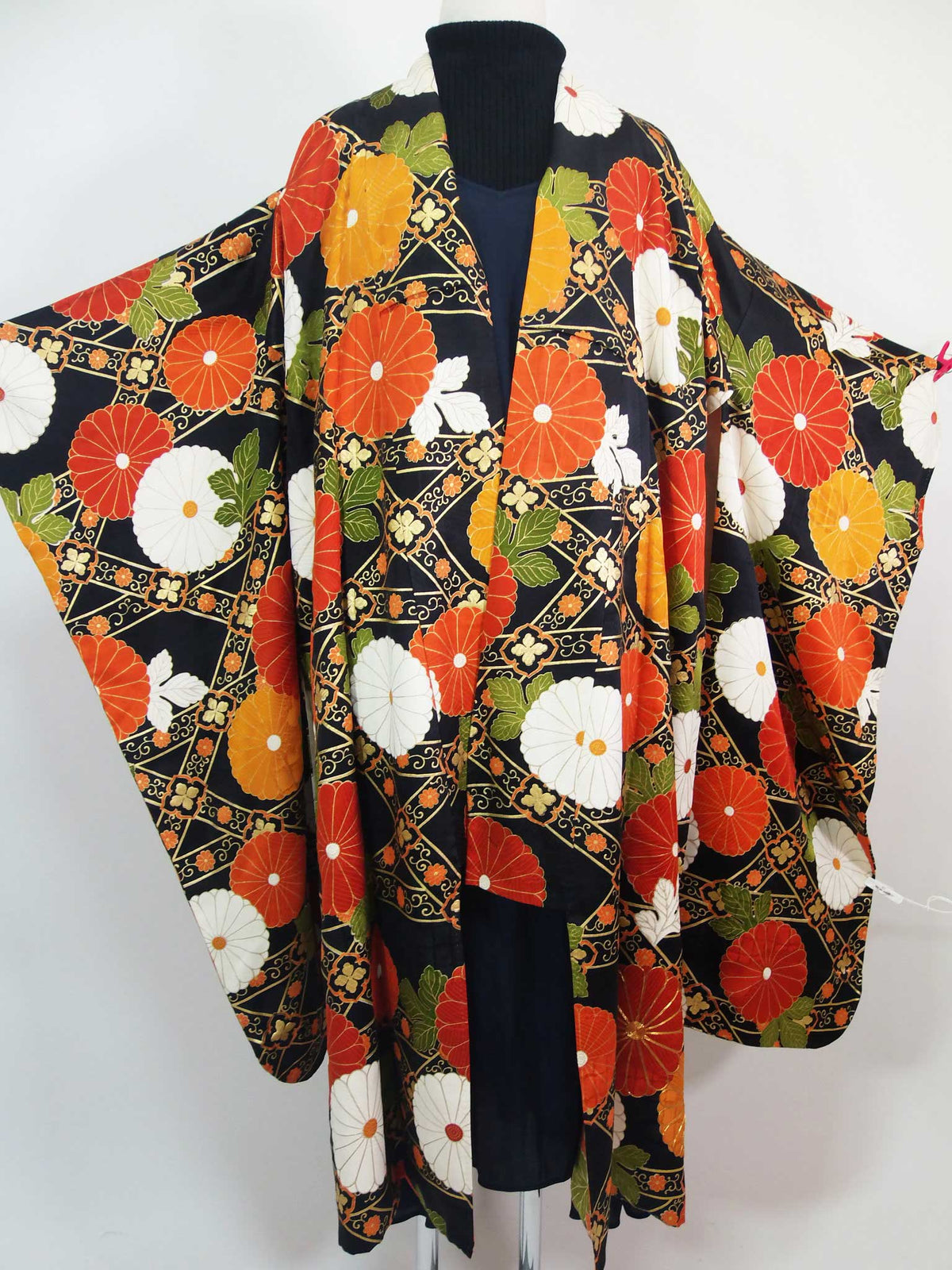 P1012420_1200x.jpg?v=1681107270 